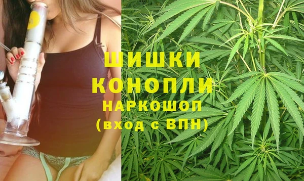 ПСИЛОЦИБИНОВЫЕ ГРИБЫ Сафоново