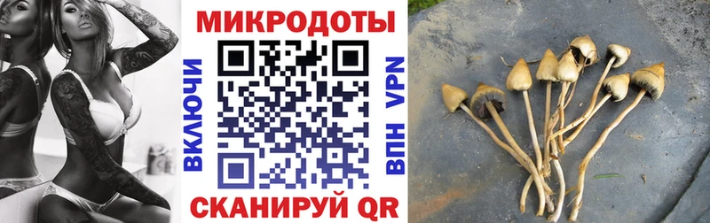 Псилоцибиновые грибы прущие грибы как найти закладки Избербаш