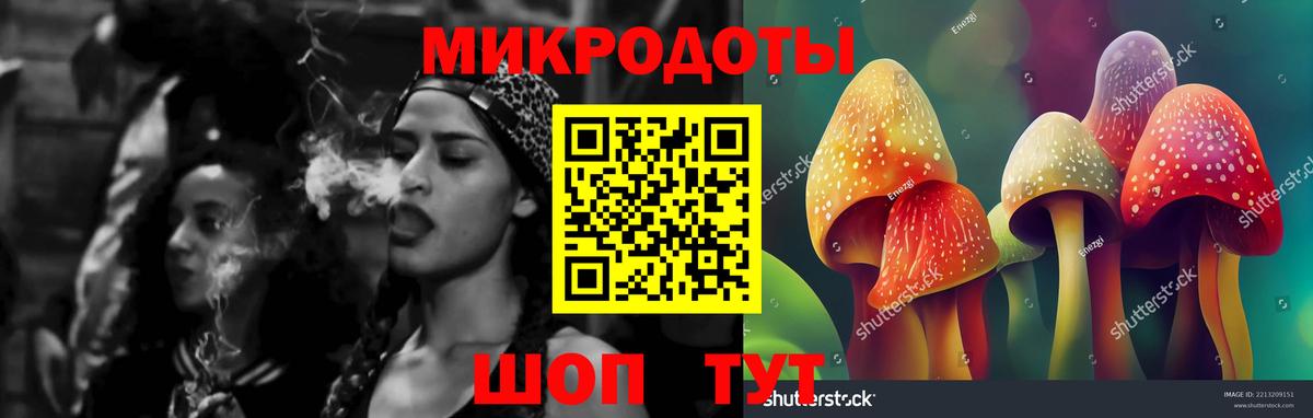 Избербаш  Галлюциногенные грибы Magic Shrooms  Вход с VPN  Псилоцибиновые грибы Psilocybine cubensis 